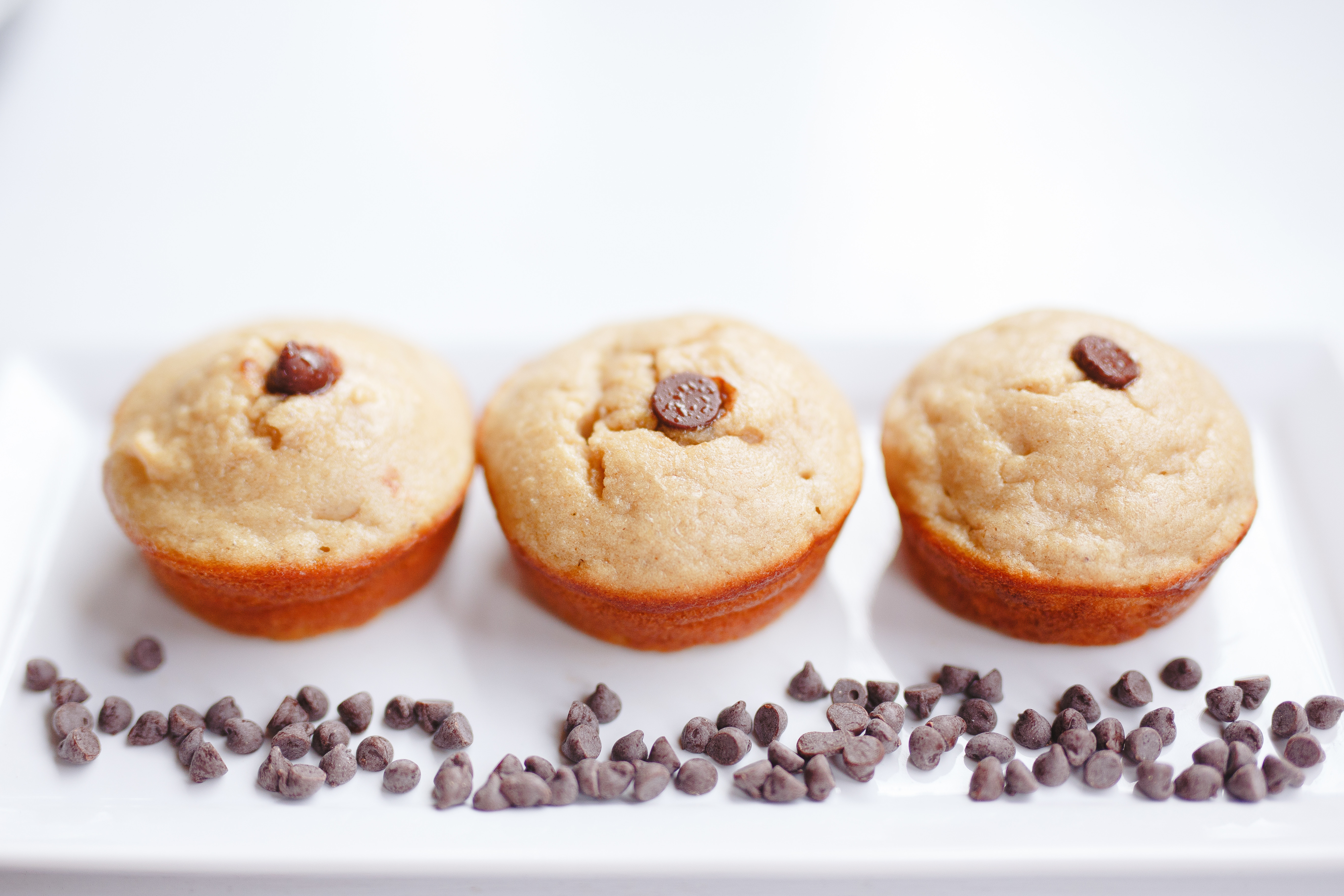 1 Dozen Vanilla Chocolate Chip Protein Muffins